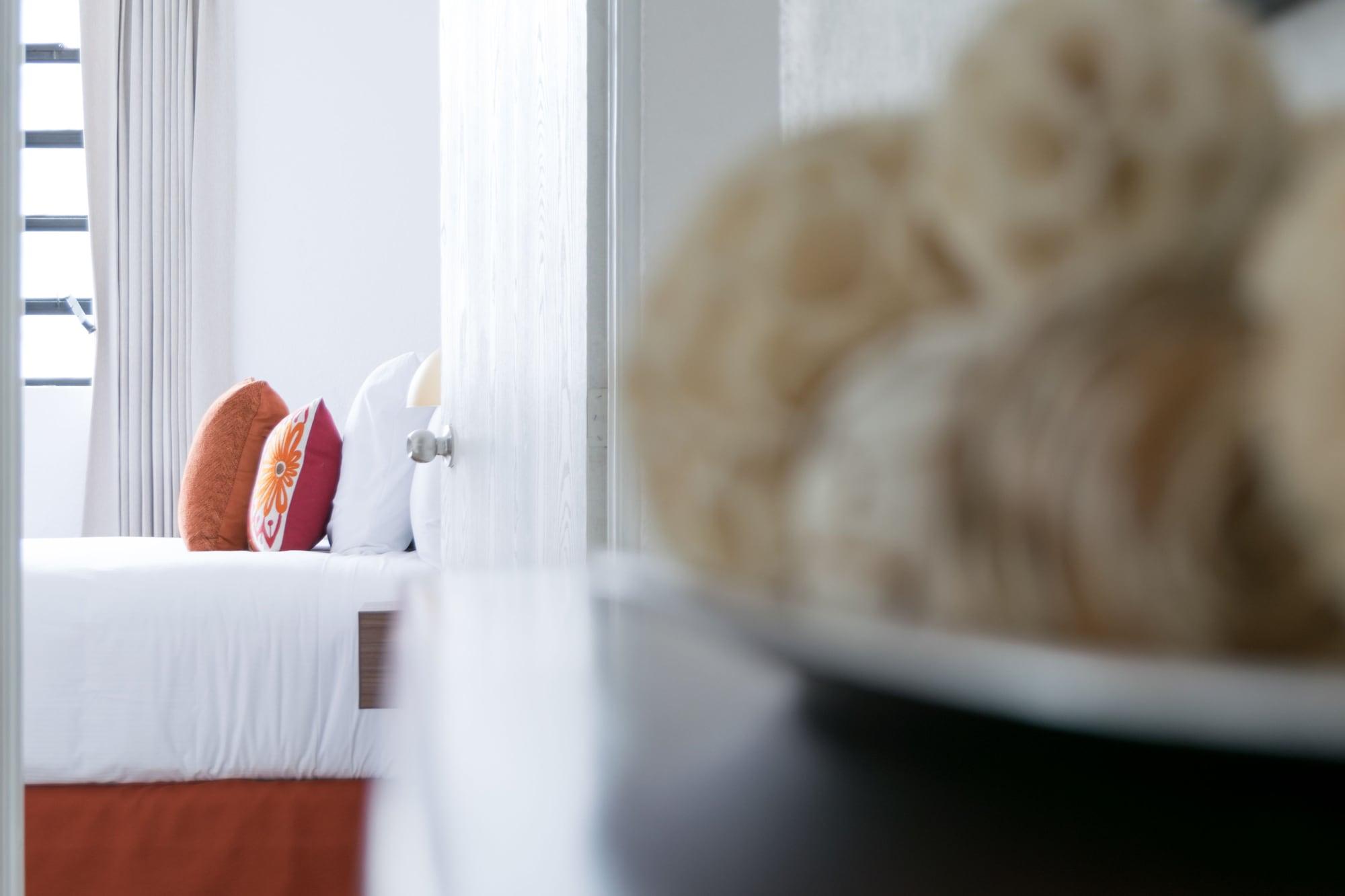In & Out Hotel (Adults Only) Guatemala City Eksteriør bilde